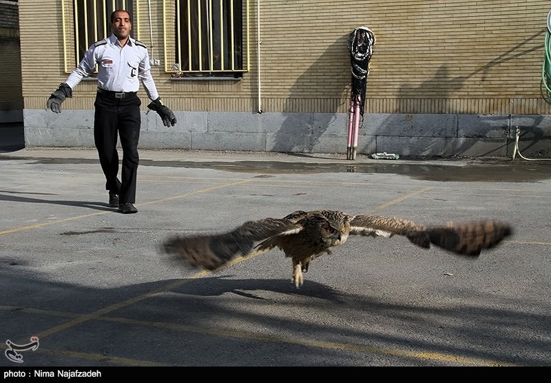 139208011537154551393884