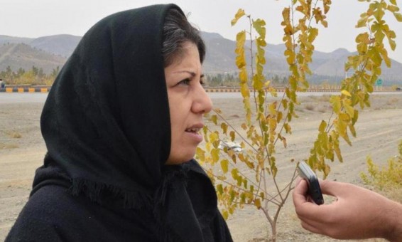 مریم پیروز مهر