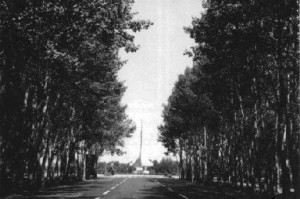 1011672_697320777002763_1413238619054572659_n