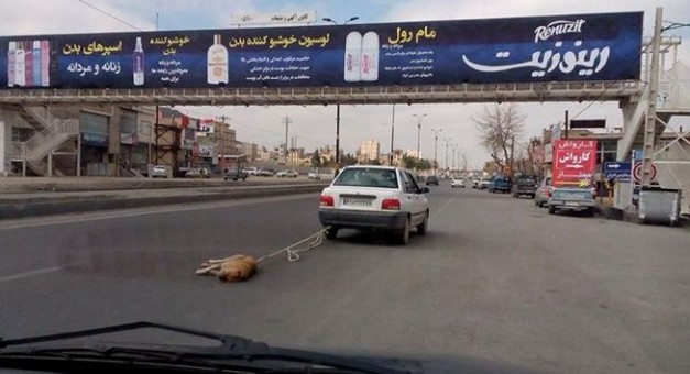 Copy of 11046671_857817024279750_2709608511148809378_n